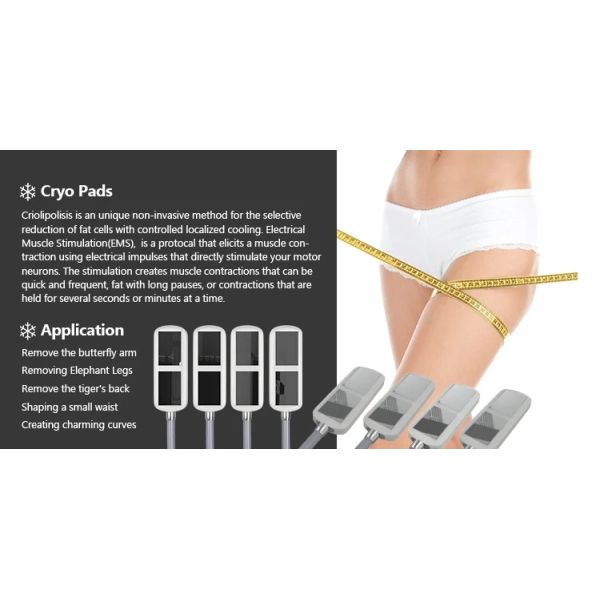 Non-invasive Body Slimming 4 Cooling Pads Cryo Membrane Fat Freezing Professional Machine Cool Sculpting Salon Massager Device