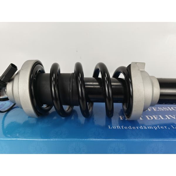 Auto Parts Front Left Right Car Shock Absorber For Audi R8 4S 2017-2026 #OE 4S0412019 4S0412019J 4S0412020 4S0412020J