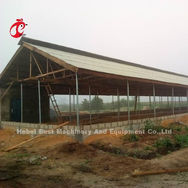 A Type Broiler Battery Cage Galvanized High Strength Poultry Broiler Cage  Iris