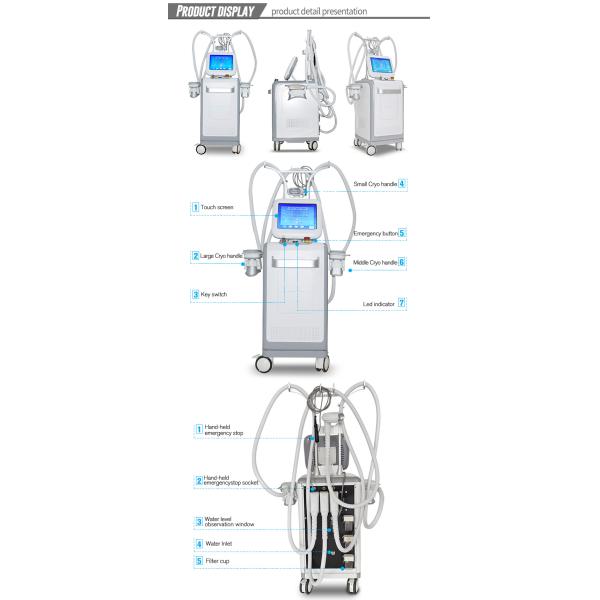 12 Inch Color LCD Touch Screen Cryo Body Slimming Machine for Chin Fat Freezing Treatment