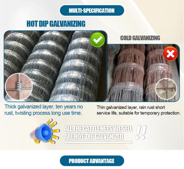 Wholesale High Quality Cattle Wire Mesh Fence Galvanized Farm Fence / Farm Cattle Wire Mesh