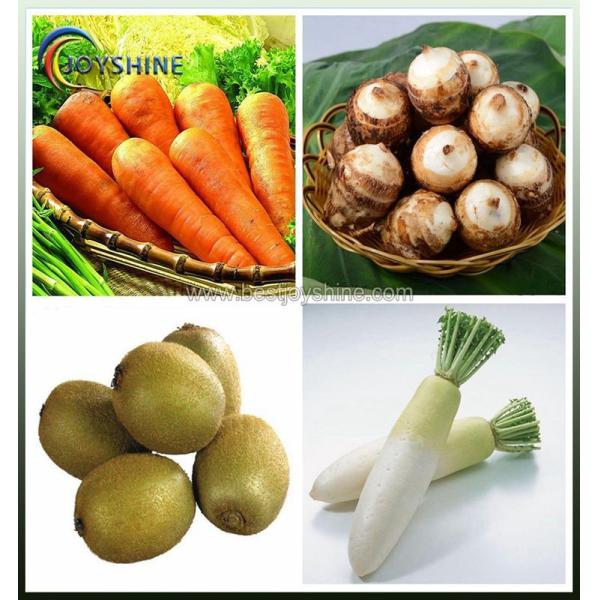 Stainless Steel Peeling And Cutting Machine For Industrial Fruit And Vegetable Processing