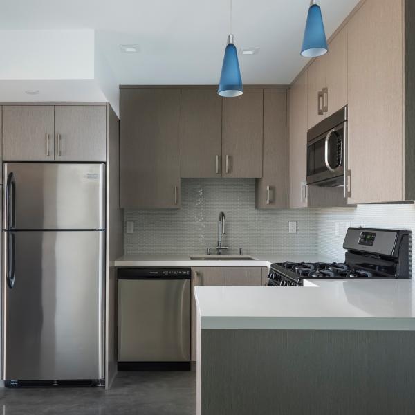 RTA Modern Grey Solid Wood Sink Lazy Susan Base Cabinets