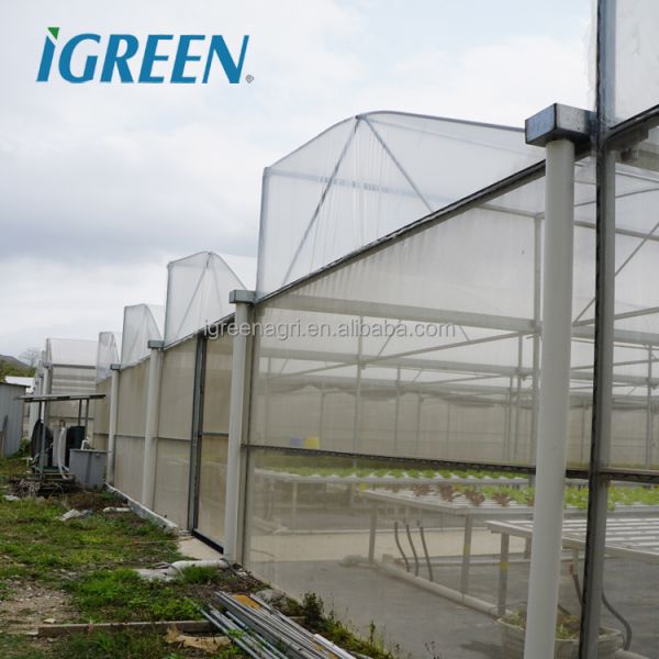 IGreen Saw Tooth Roof Vent Multi Span Plastic Greenhouse for Agriculture