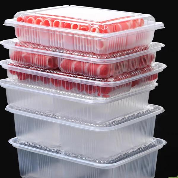 Disposable Blister Frozen Food Tray Microwave Safe Freezer Food Tray With Lid