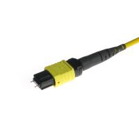 Cable Elite Mpo à Mpo 24 connecteur mâle Genre Os2