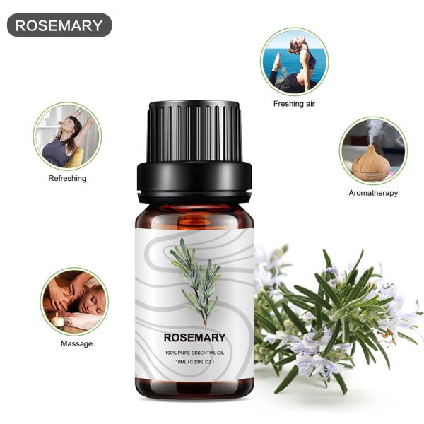 Medicine Organic Rosemary Essential Oil Hair 10ml Face And Body MSDS ODM