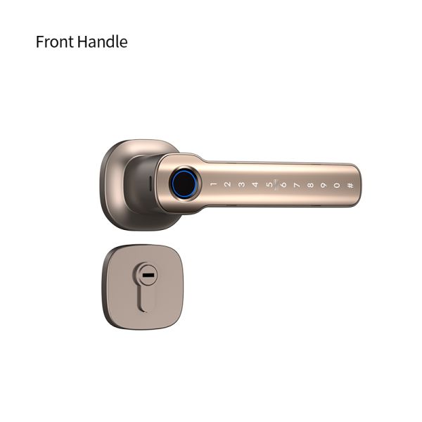 Tuya Smart Lock Fingerprint Electronic Keypad Entry Aluminum Alloy Royal Gold Color Durable Auto-locked Door Handle Smart