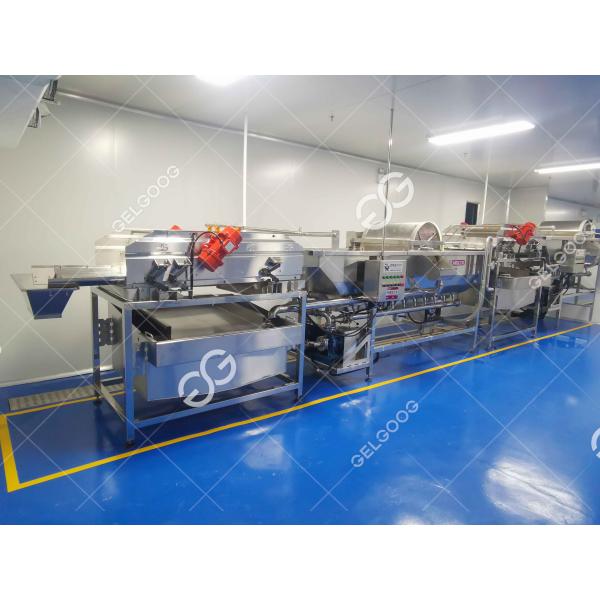 Commercial Vegetable Fruit Washing Equipment Vegetable Processing Line for vegetable processing plant