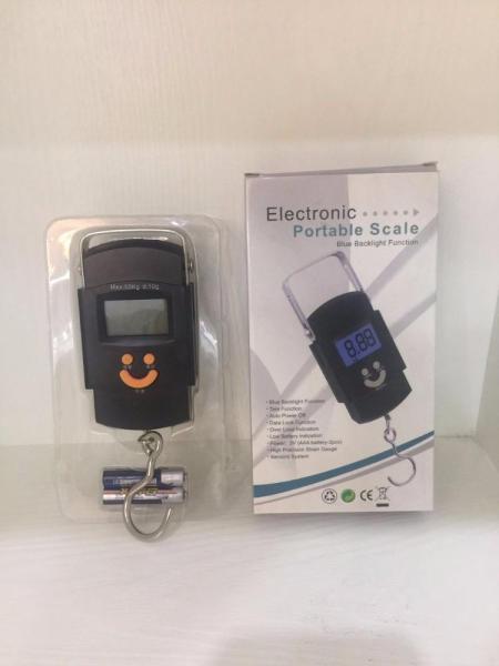 Balance numérique suspendue portable de 50 kg Balance électronique haute précision avec alimentation par batterie et support OEM