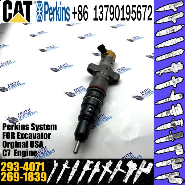 2934071 Perkins Diesel Injector CAT Caterpillar Diesel Engine Parts