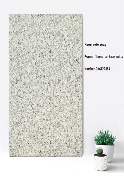 60x120cm Surface enflammée Mat gris Rideau de mur Carreaux épais Pour balcon ISO9001 résistance aux acides