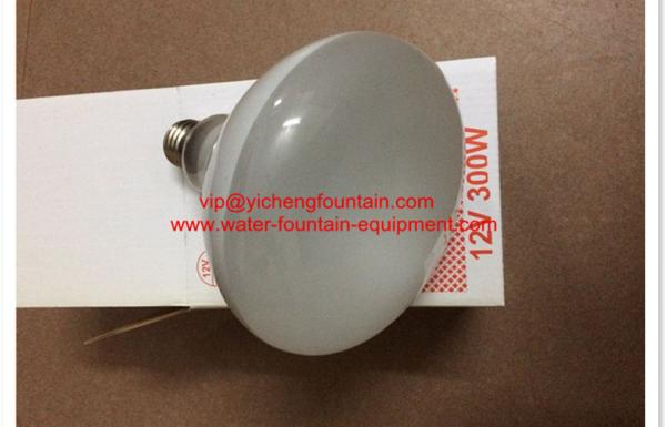 E27 12V 300W Halogen Bulb Replacement For Underwater Swimming Pool Lights R125
