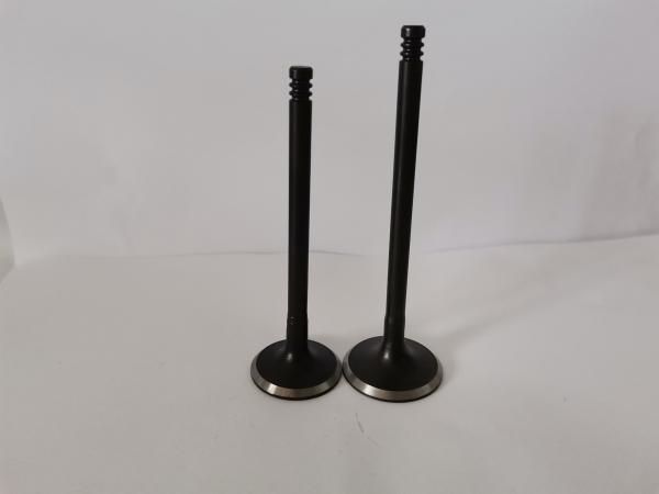 Steel Car Engine Intake Valve for Gm Astra / Vectra / Zafira 2.0l / 2.2l / 3140-AC