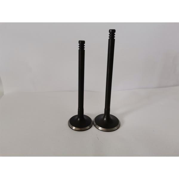 Steel Car Engine Intake Valve for Gm Astra / Vectra / Zafira 2.0l / 2.2l / 3140-AC