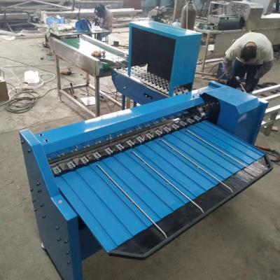 Machine de tri des œufs de poulet, machine de tri de la taille des œufs, machine de tri des œufs de base
