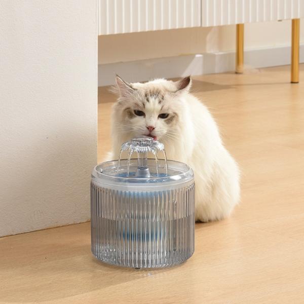 Distributeurs d'eau pour animaux de compagnie à base antidérapante avec remplissage automatique, certifiés Energy Star