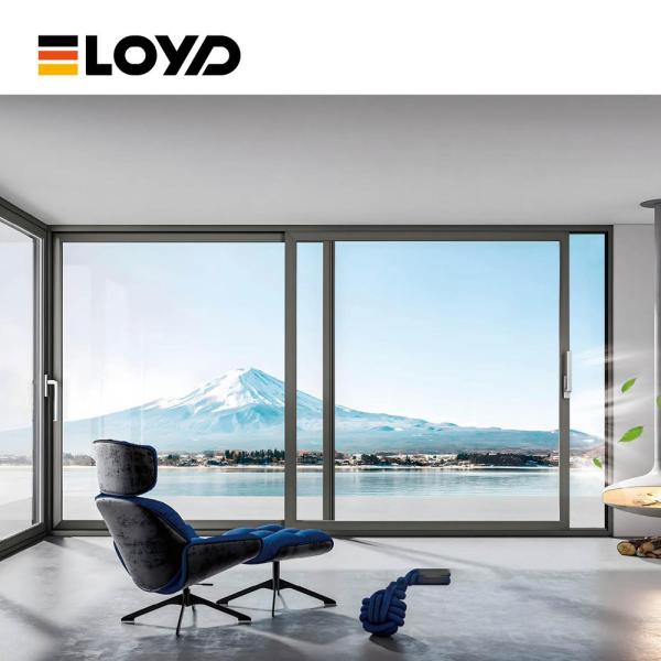 Portas deslizantes de vidro preto seladas de trilho alto perfil de alumínio Slimline T5
