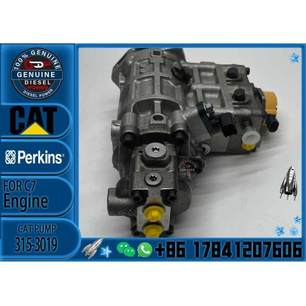 Diesel Engine Diesel Fuel Injection Pump 315-3019 For Caterpillar 320D Excavator 3153019 C6.6