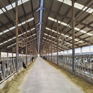 	
Prefabricated Buildings Poultry House Steel Structure Poultry Farm House Steel Building Frame for Cow Shed