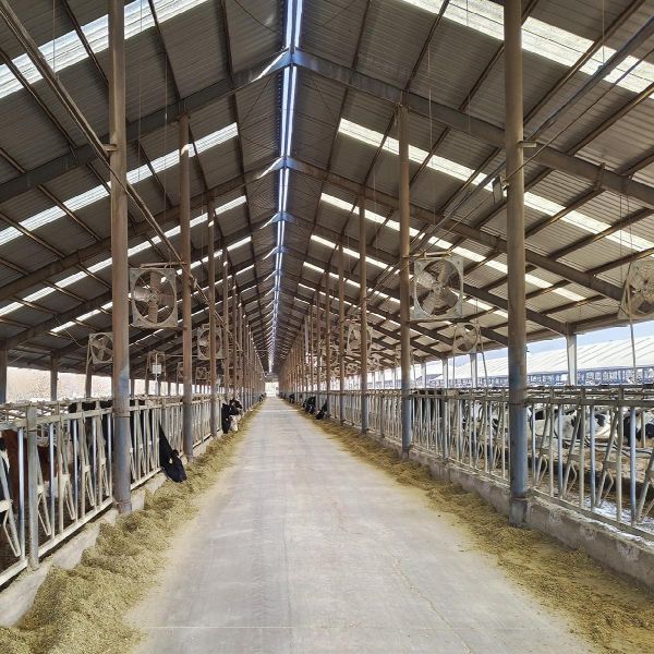 	
Prefabricated Buildings Poultry House Steel Structure Poultry Farm House Steel Building Frame for Cow Shed
