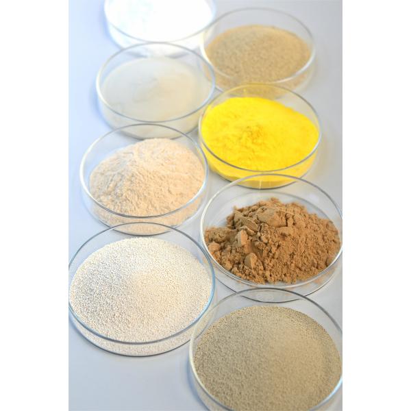 Optimize Your Production with Food Grade Enzymes 12 Months Shelf Life at 25C Protected from Light