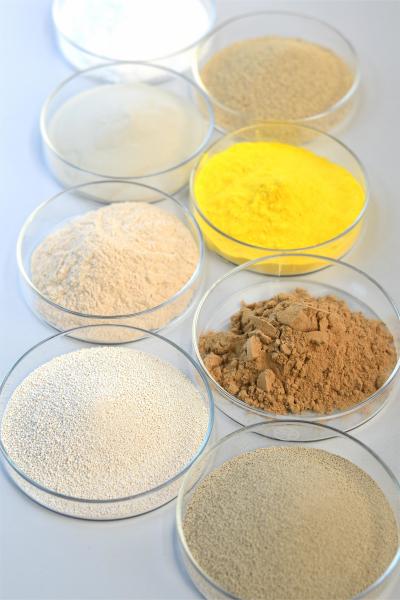 Aditivos alimentares Protease ácida