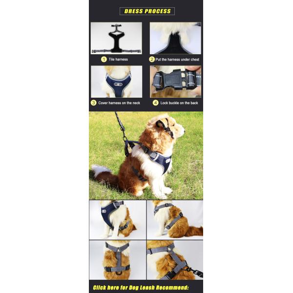 New Design Breathable No Pull Chest Easy Walk Dog Harness for Big Dog