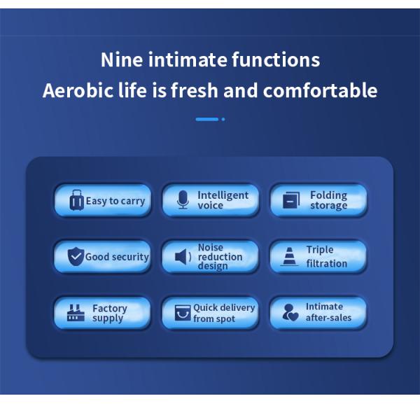 220V Single Software Hyperbaric Oxygen Chamber for Rehabilitation and Oxygen Therapy