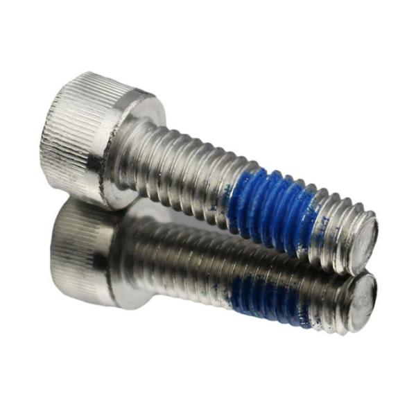 Stainless Steel M2 M4 M6 M8 Socket Head Cup Screws