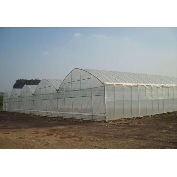 Аграрный коммерчески промышленный пластиковый Multi парник пяди для засаживать томата