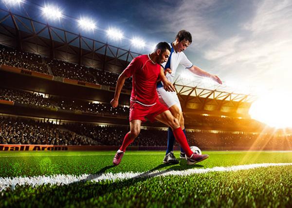 IP65/IP54 Perimeter Led Screen , P10 SMD3535 Football Stadium Advertising Boards