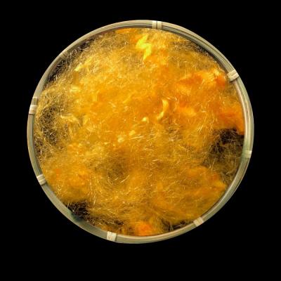 Environmental Protection Dope Dyed Polyester Staple Fiber For Household Textiles