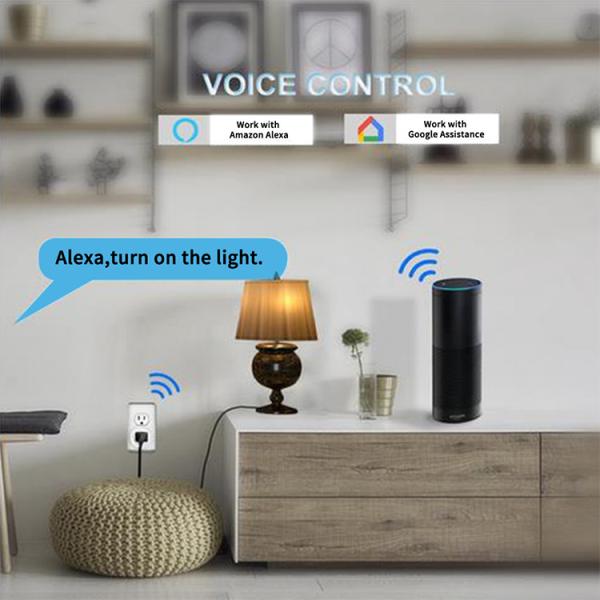 Tuya 10A Wifi Smart Plug Socket