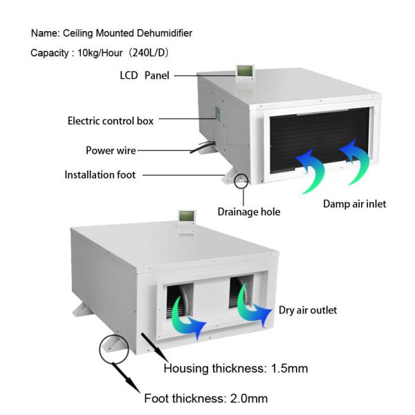 240L/D Ceiling Mounted Dehumidifier Industrial Grow Room Greenhouse Dehumidifiers for Indoor Swimming Pools