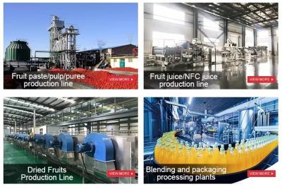 Fully Automatic Lemon Juice  Processing Machine Orange Juice Production Machinery