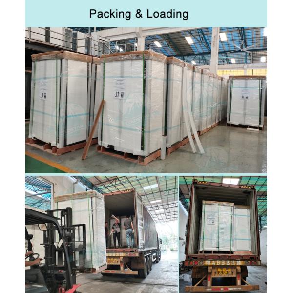 Supermarket Display Refrigerators Double Glass Door Beer Fridge Upright Drink Beverage Cooler