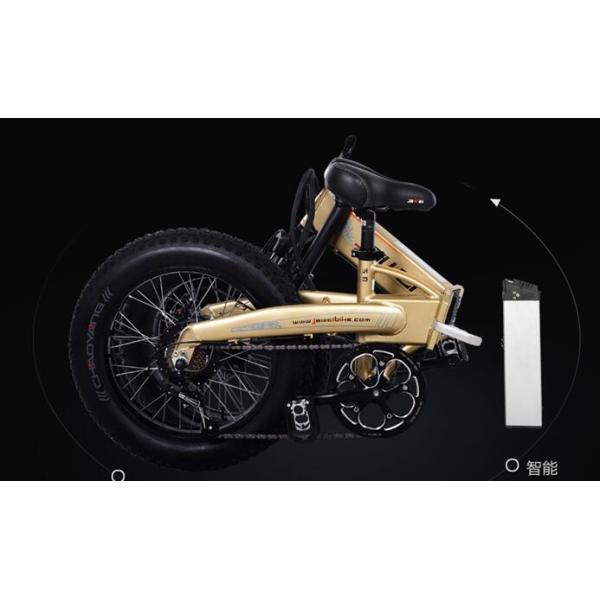 750w 20 Inch Fat Tire Electric Bike