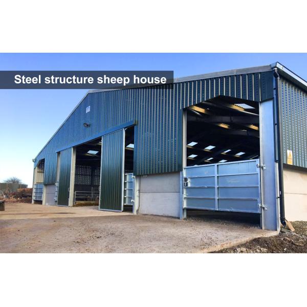 Покрашенные изготовленные коровьи сараи Стальная конструкция Конструкция для конюшен