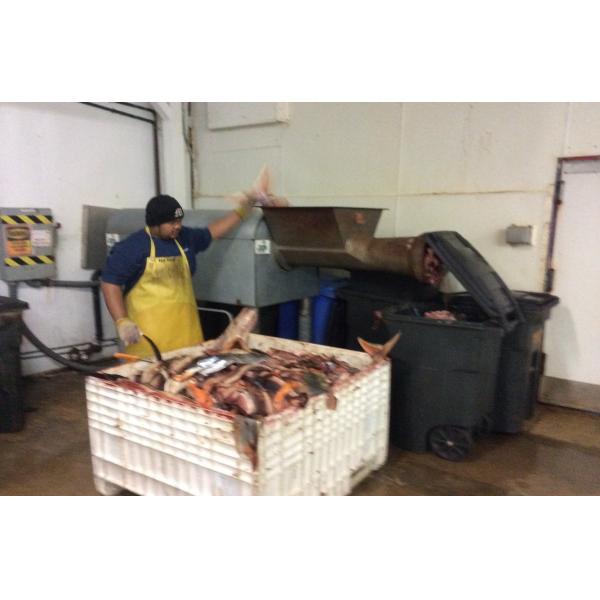 big river fish crusher machine stainless steel PG series with CE