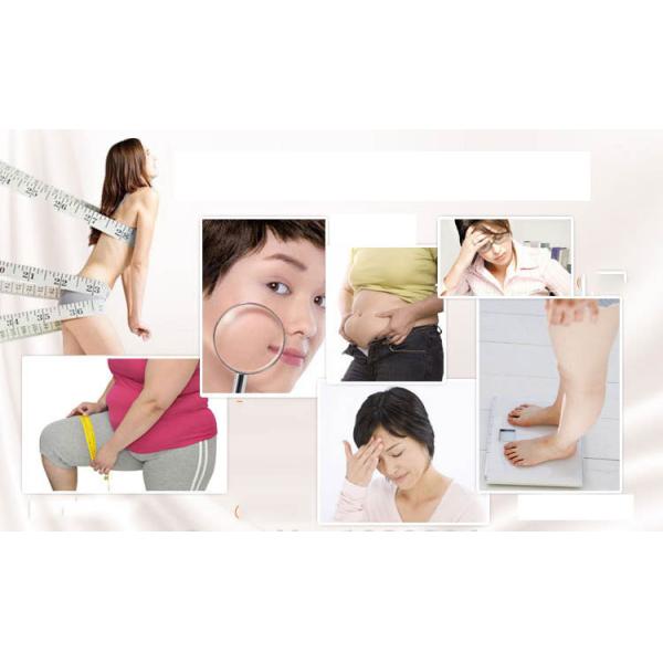 Factory Supply Price Dried Goji Berry