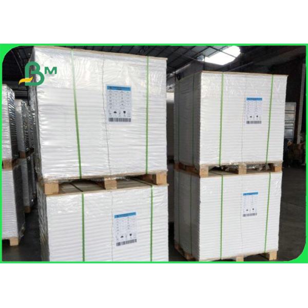 Waterproof 70gsm 80gsm + 10g PE Coated Offset Printing Paper For Packaging Waterproof 80gsm + 10g PE Coated Offset Printing Paper For Packaging