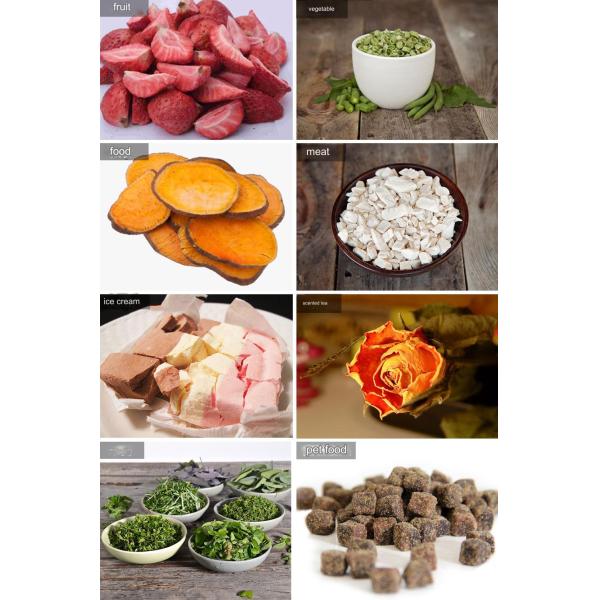 2024 Hottest Product Food Freeze Dryer Machine for Home Continuous Drying Machine