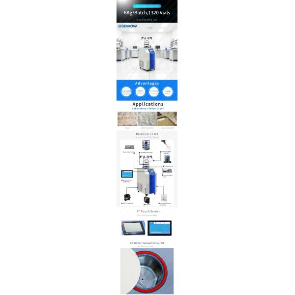 SUS304 Laboratory Freeze Dryer Mini Senova Biotech 6Kg Capacity