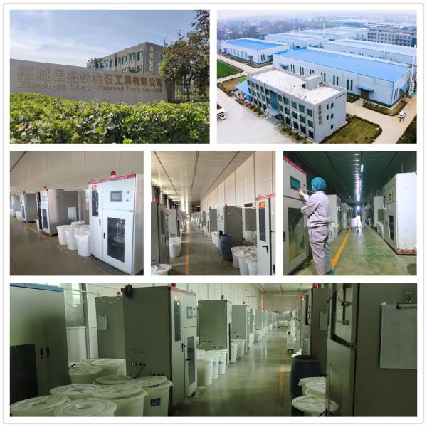 Xinrui Diamond Polishing Paste Diamond Grinding Lapping Paste for Customized Request