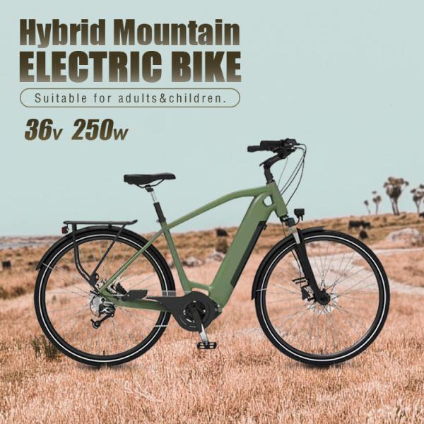 25km/H Long Range Electric City Road Bike 750w High Power Two Wheel