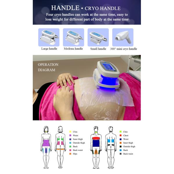 2020 New Technology Cryotherapy Criolipolisis Body Shaper Shock Wave Therapy Equipment