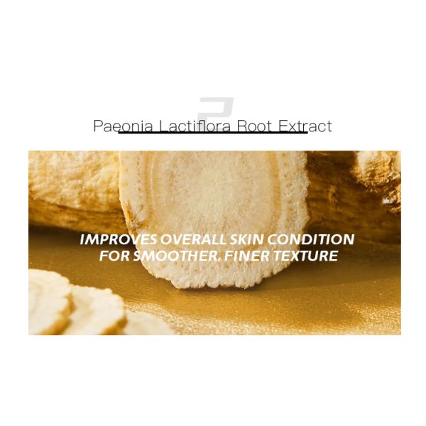 Custom Logo High Coverage Oil-control Long-lasting  Make up Face Primer Makeup Base Makeup Makeup Face Moisturizer