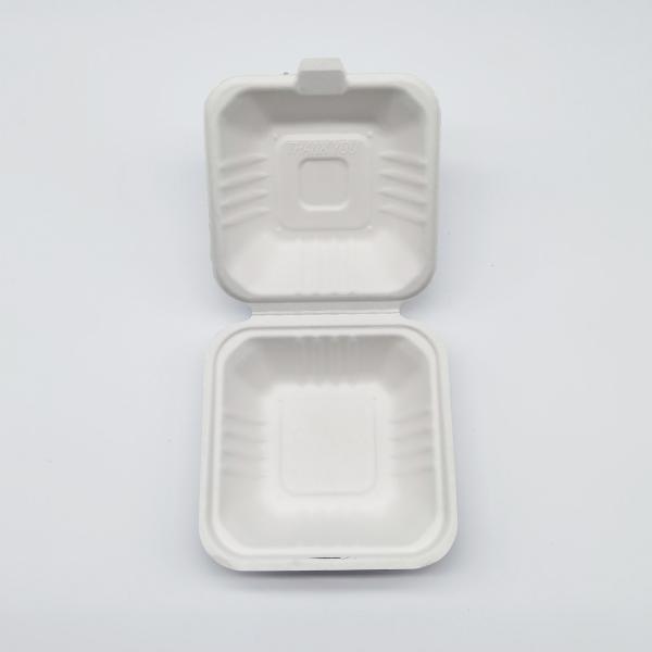 6 Inch Biodegradable Take Out Containers , White Biodegradable Clamshell Packaging