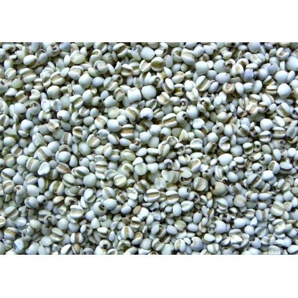 Recyclable 10 Channels Coix Rice Color Sorter With Full Color CCD RGB Camera